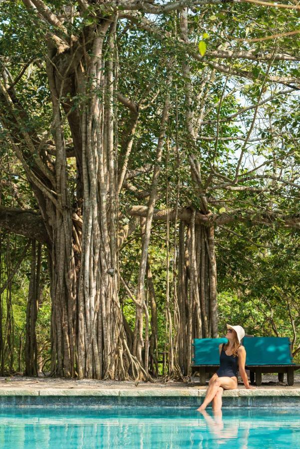 Kaav Safari Lodge, Kabini Begūr Exterior foto