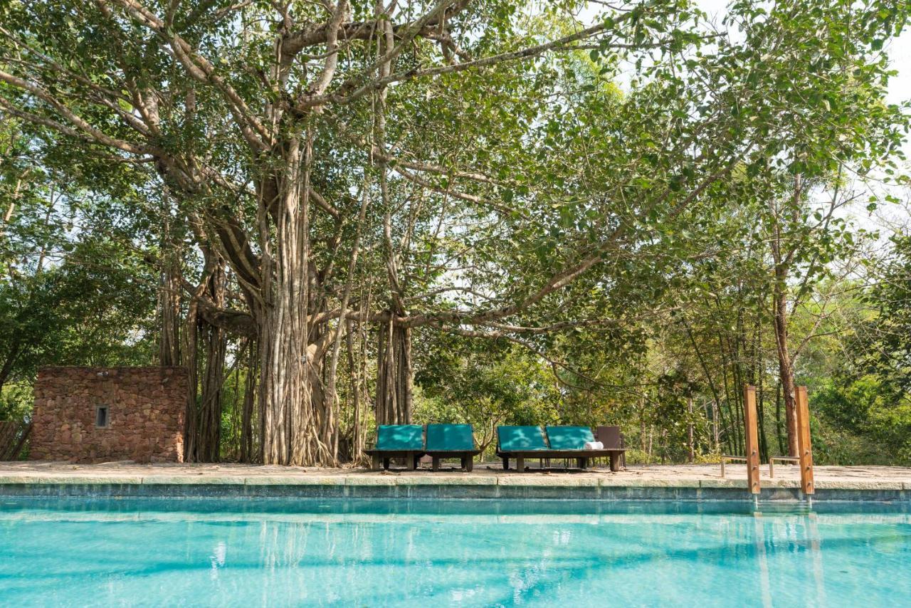 Kaav Safari Lodge, Kabini Begūr Exterior foto